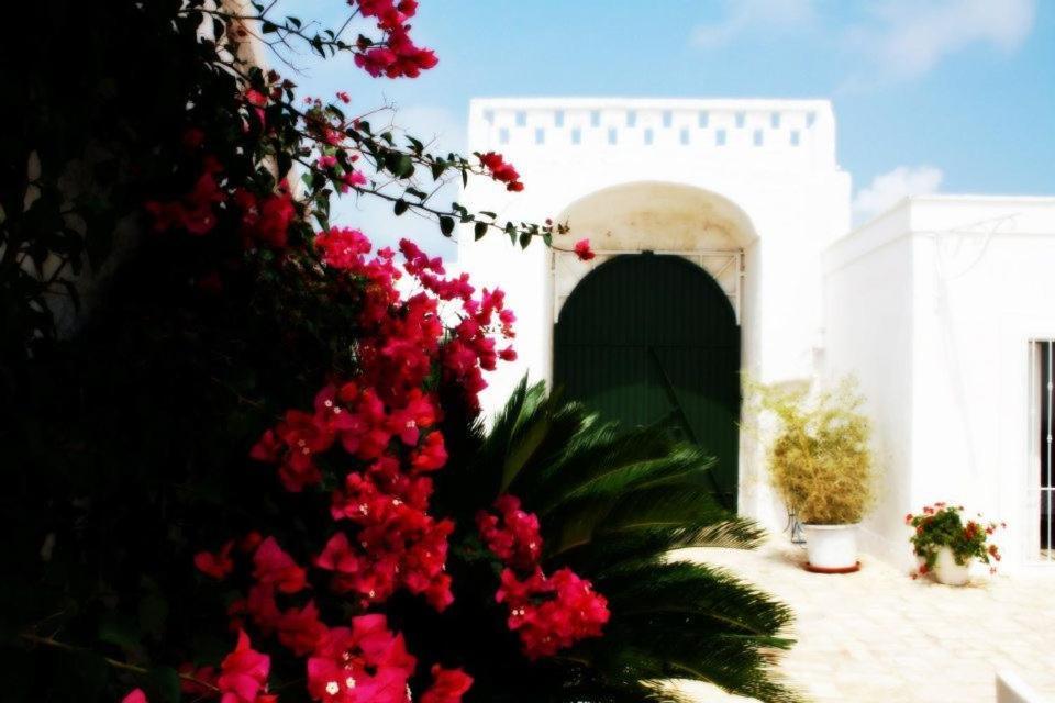 Masseria Boezio Ostuni Bed & Breakfast Торе Санта Сабина Екстериор снимка