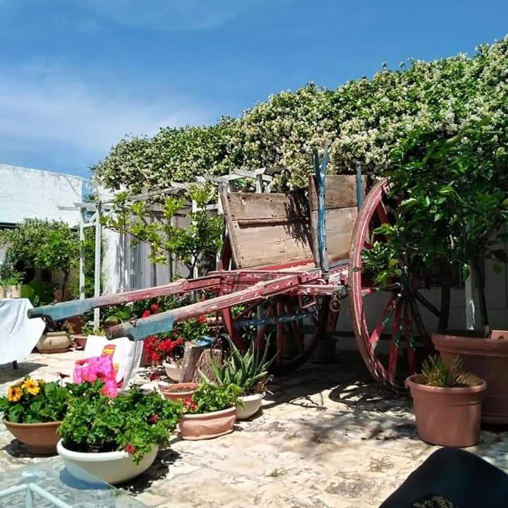 Masseria Boezio Ostuni Bed & Breakfast Торе Санта Сабина Екстериор снимка