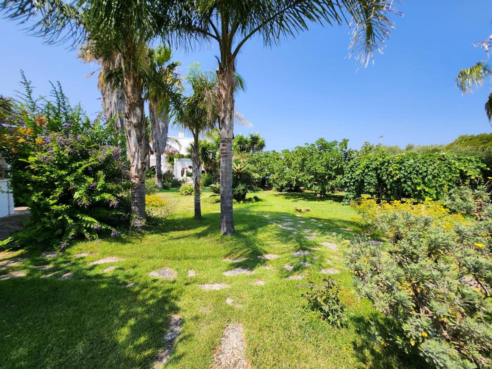 Masseria Boezio Ostuni Bed & Breakfast Торе Санта Сабина Екстериор снимка